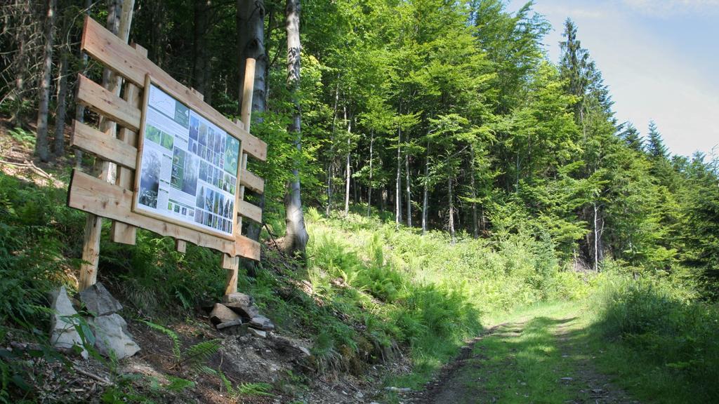 Pokoje W Oberzy Czarny Gron Rzyki Exteriör bild